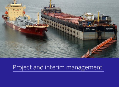 Project and interim management